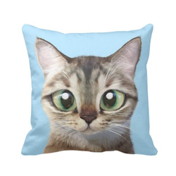貓咪细毛绒抱枕(貓咪淺藍色底)提供客製化訂做 第1張的照片