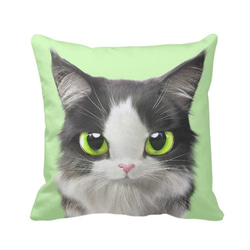 貓咪细毛绒抱枕(貓咪綠色底)提供客製化訂做 第1張的照片