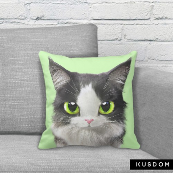 貓咪细毛绒抱枕(貓咪綠色底)提供客製化訂做 第2張的照片