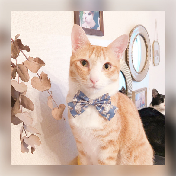 〈再販〉 猫 犬 首輪 リバティプリント × Petal wish ラージリボン ピンク 花柄 プレゼンにおすすめ♫ 6枚目の画像
