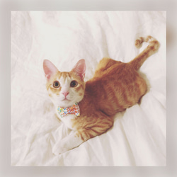 猫 首輪 リボン ピンク 花柄 リバティプリント×Alice W 5枚目の画像
