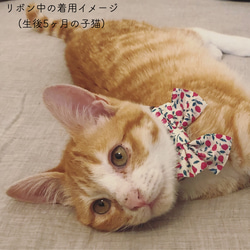 〈再販〉 猫 犬 首輪 リバティプリント × Ed ミディアムリボン レッド いちご柄 プレゼントにも♫ 4枚目の画像