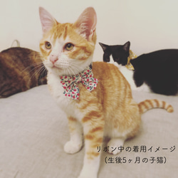 〈再販〉 猫 犬 首輪 リバティプリント × Ed ミディアムリボン レッド いちご柄 プレゼントにも♫ 5枚目の画像