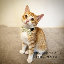 〈新作〉猫 首輪 リボン小 マスタード 花柄 リバティプリント×Capel 4枚目の画像