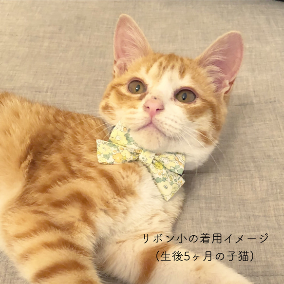 〈新作〉猫 首輪 リボン小 マスタード 花柄 リバティプリント×Capel 5枚目の画像