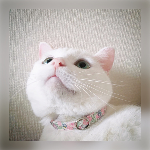 猫 首輪 サーモンピンク 花柄 リバティプリント×Josephine 4枚目の画像