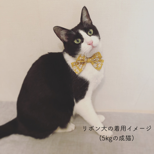 猫 首輪 リボン大 マスタード 猫柄 リバティプリント×Willoughby Mews 7枚目の画像