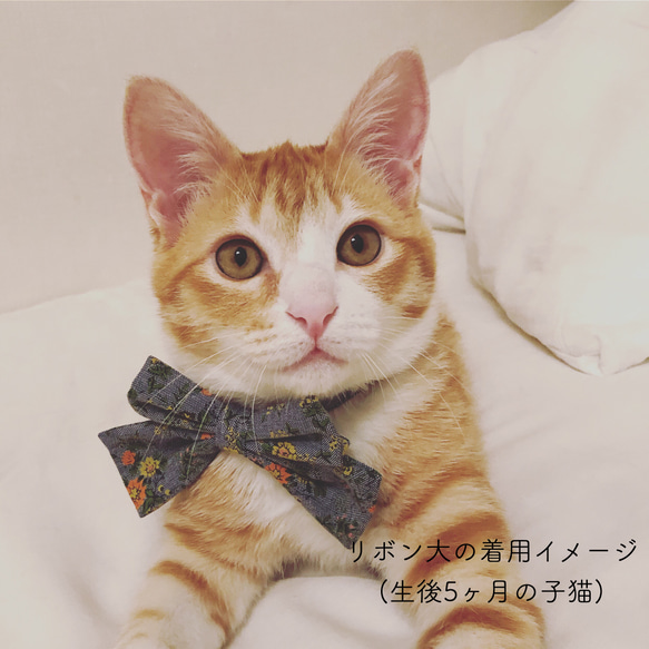 猫 首輪 リボン大 マスタード 猫柄 リバティプリント×Willoughby Mews 8枚目の画像