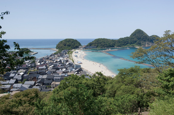 するめ糀漬 8枚目の画像