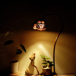 貓頭鷹鷹 溫暖夜燈   圓圓的椰殼上站著貓頭鷹媽媽與寶貝可愛極了!  貓頭鷹象徵守護神又象徵智慧, 每晚守護你喔! 第1張的照片