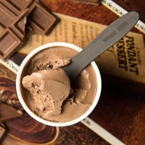 アイスクリーム専用スプーン カーボン製 熱伝導 名入れ 金属アレルギー