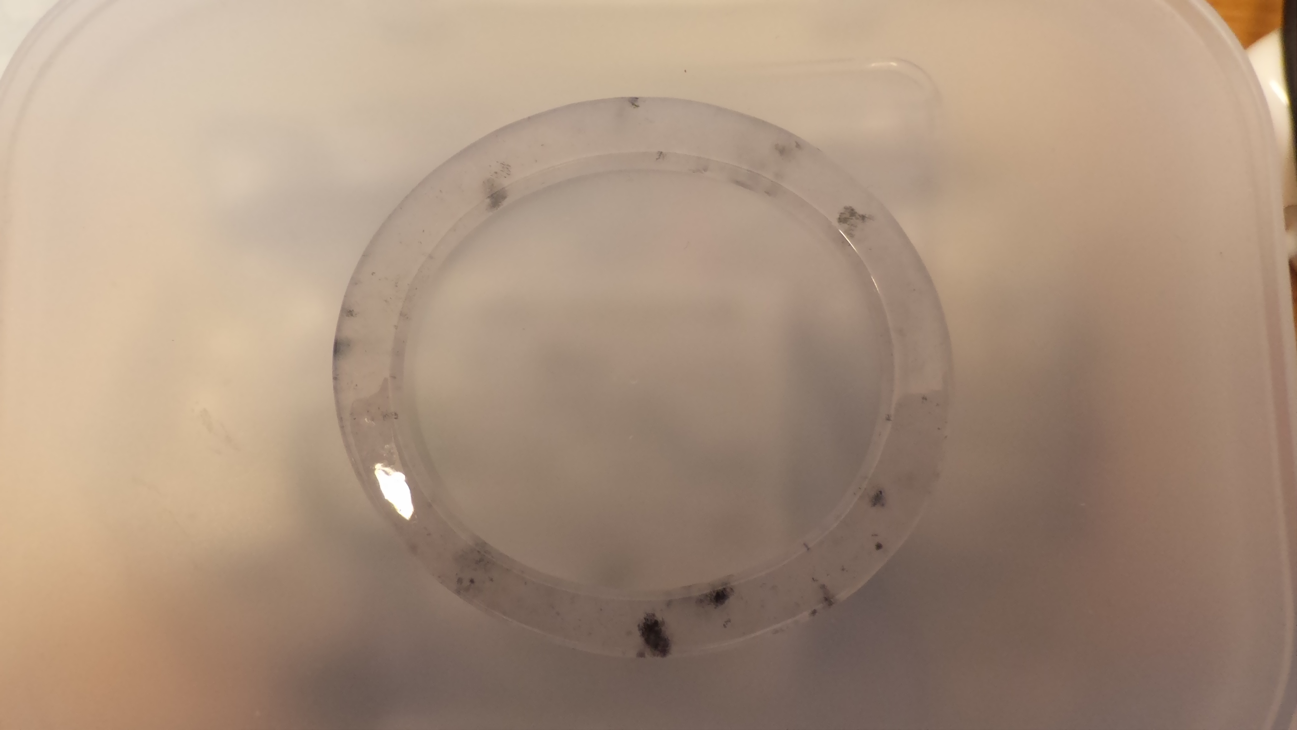 本翡翠　氷　黒　楕円形　バングル 22,200円