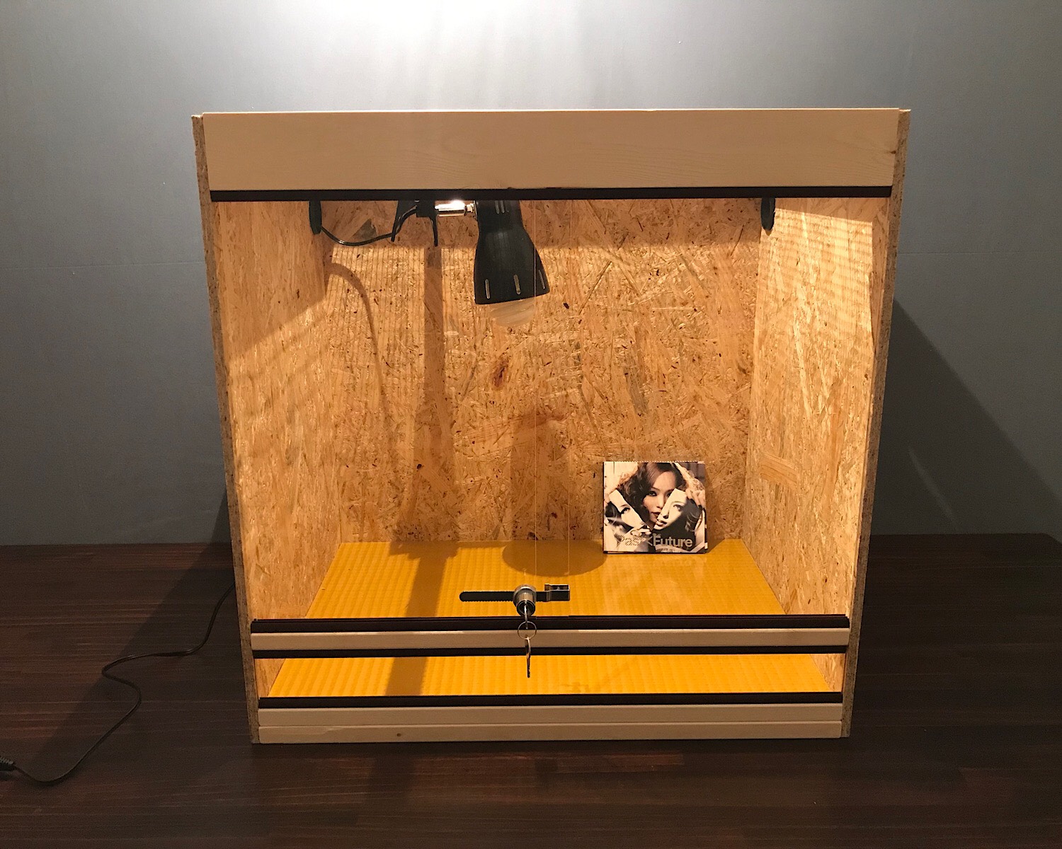 【受注制作】爬虫類ケージ　幅60 × 奥行45(調整可) × 高さ30cm 受注制作】爬虫類ケージ 幅60 × 奥行45(調整可) × 高さ30cm 温室