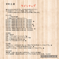 【栄町工房】 木製ケージ 904545 OSB 上段アクリル引出し / 爬虫類 小動物 ハムスター 昆虫 4枚目の画像