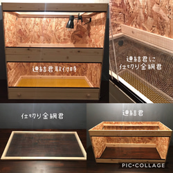 【栄町工房】 木製ケージ 904545 OSB 上段アクリル引出し / 爬虫類 小動物 ハムスター 昆虫 5枚目の画像