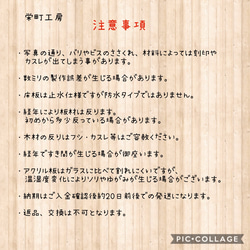 【栄町工房】 木製ケージ 904545 OSB 上段アクリル引出し / 爬虫類 小動物 ハムスター 昆虫 6枚目の画像