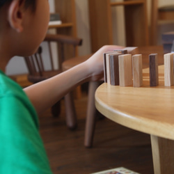 いろんな木のドミノ 1枚目の画像