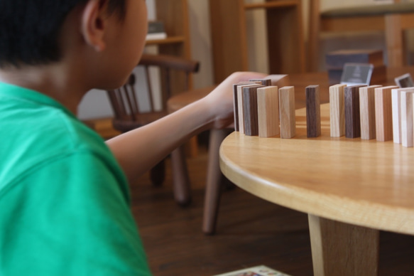 いろんな木のドミノ 1枚目の画像