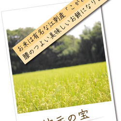 『しあわせ餅　お鏡　2.5号』　☆江刺産こがねもち使用　※※12月28日着をめどに発送 2枚目の画像