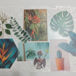 グログランリボン短冊(両面テープ付き)
植物シール 5枚目の画像