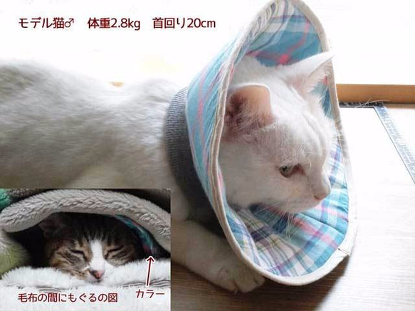 洗える猫用エリザベスカラー【ばら・グリーン】 4枚目の画像