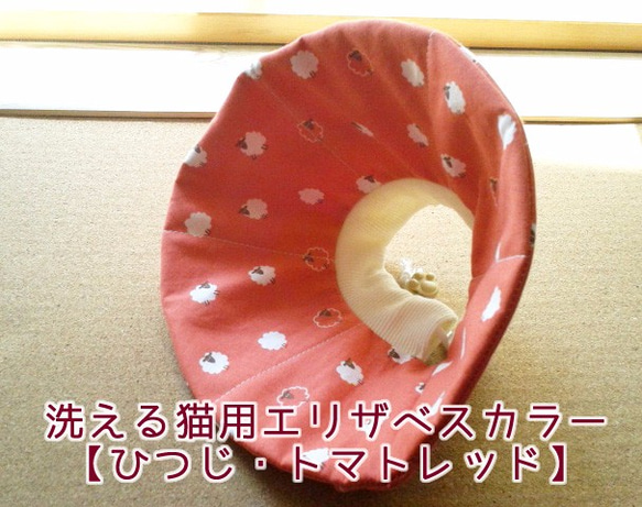 洗える猫用エリザベスカラー【ひつじ・トマトレッド】 1枚目の画像
