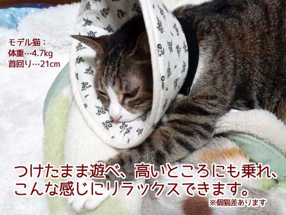 洗える猫用エリザベスカラー【ひつじ・ネイビー】 3枚目の画像