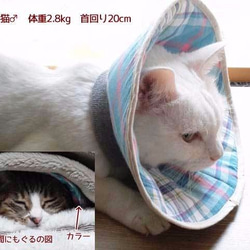 洗える猫用エリザベスカラー【ばら・ピンク】 4枚目の画像