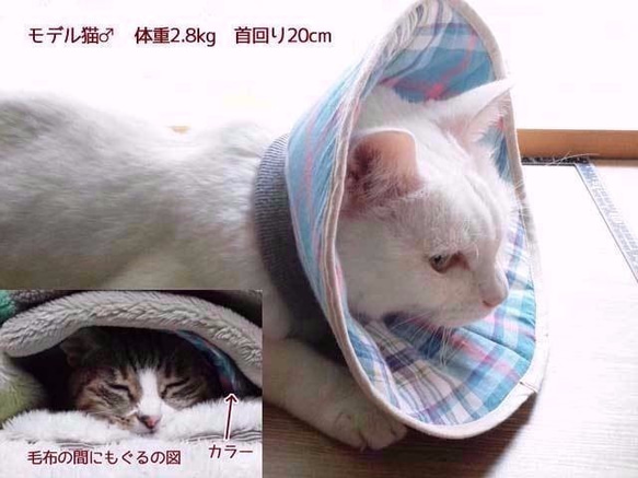 洗える猫用エリザベスカラー【花・オフ白】 5枚目の画像