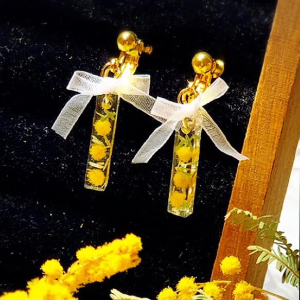 mimoza × 白リボン ピアス・イヤリング 1枚目の画像