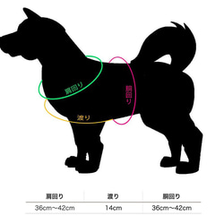 小型犬ハーネス（ゴールド） 5枚目の画像