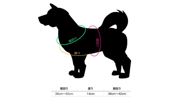  第5張的照片