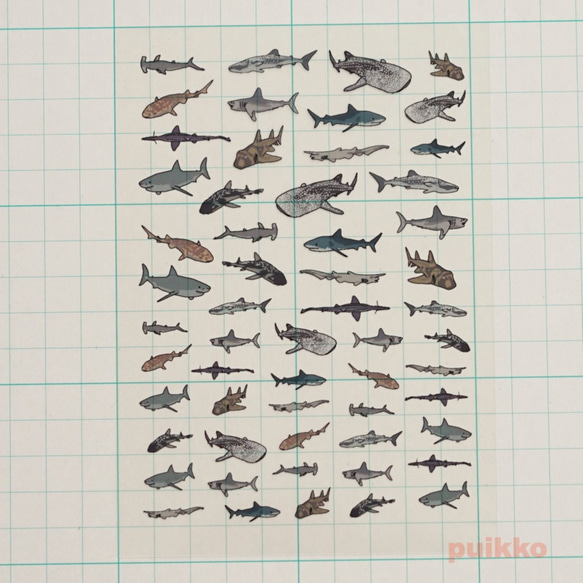封裝樹脂用鯊魚插畫膜 第2張的照片