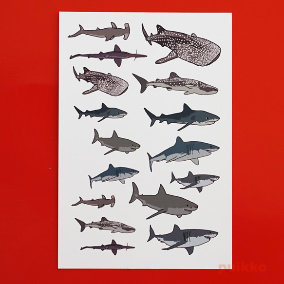 鯊魚紋身貼紙 第1張的照片