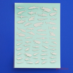 鯊魚插圖（白色碳粉版本）樹脂封裝膜 第2張的照片