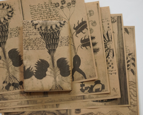 ヴォイニッチ手稿 ハードカバー ヴォイニッチ手稿 ハードカバー the Voynich Manuscript