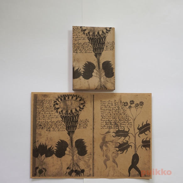 紙製ブックカバー　ヴォイニッチ手稿2（モノクロ） 2枚目の画像