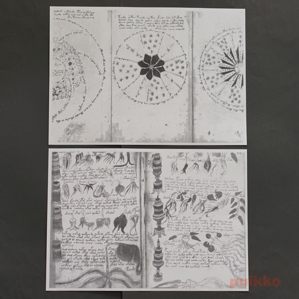 紙製ブックカバー　ヴォイニッチ手稿2（モノクロ） 7枚目の画像