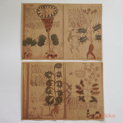 紙質書本Voynich手稿2（彩色） 第2張的照片