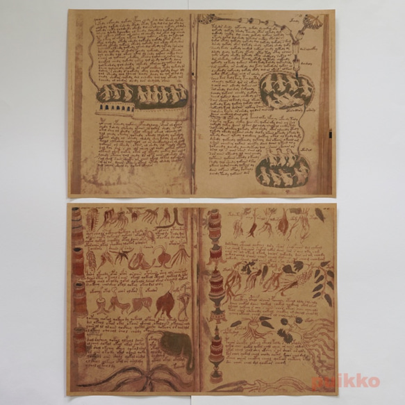 紙質書本Voynich手稿2（彩色） 第4張的照片