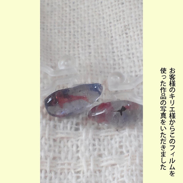 金魚イラスト（影付き）　レジン封入用フィルム 4枚目の画像