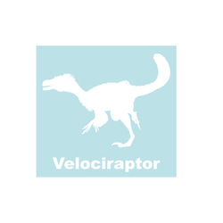 恐竜ステッカー　ヴェロキラプトル 2枚目の画像