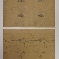 紙製ブックカバー　ダ・ヴィンチのスケッチ 3枚目の画像