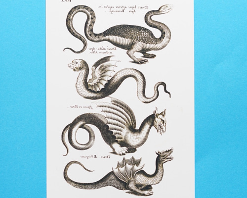 1650年代 ヨハネス・ヨンストン 鳥獣虫魚図譜 古版画 博物画