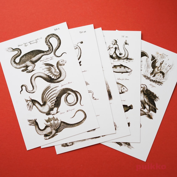 ポストカード（5枚セット）　ヨンストン「鳥獣虫魚図譜」 1枚目の画像