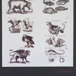 シール　ヨンストン「鳥獣虫魚図譜」 3枚目の画像