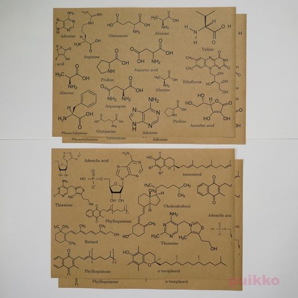  第3張的照片