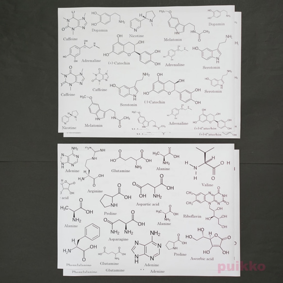  第5張的照片