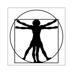 ステッカー ダ・ヴィンチ「ウィトルウィウス的人体図」・小 シール