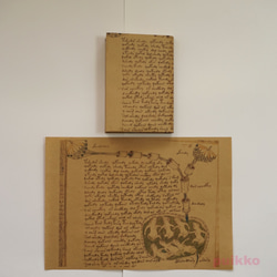 紙質書本Voynich手稿（彩色） 第2張的照片
